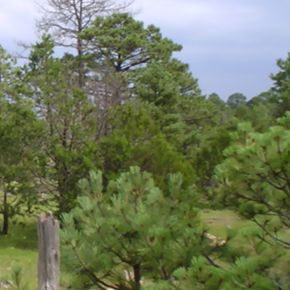 Parque Nacional General Juan N. Álvarez
